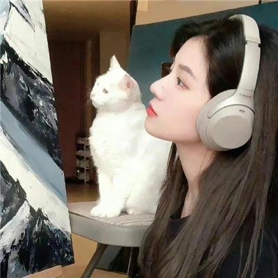 老虎和兔子第二季
