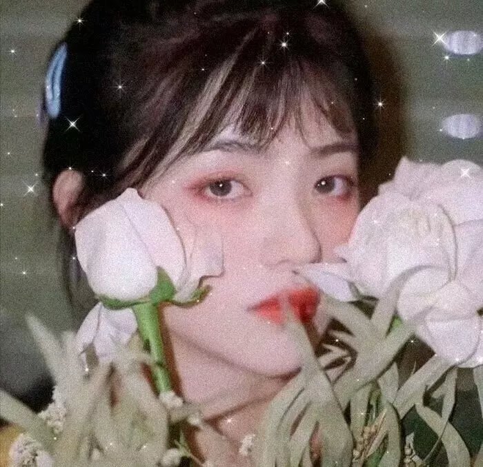 少女日记